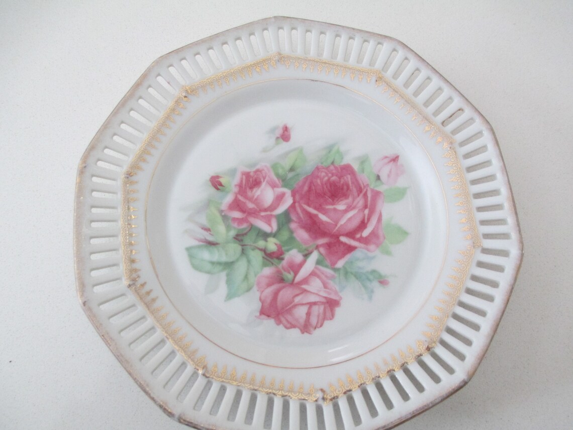 C S BAVARIA PLATE C S Bavaria Rose Plate Bavarian China Etsy