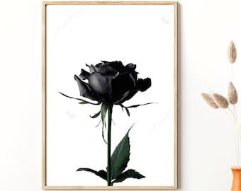 Black Rose Wall Art, Floral Botanical Print, Black And White Photography, Digital Download