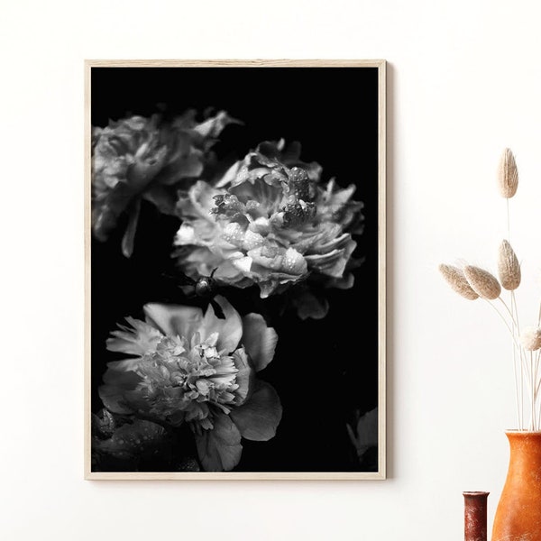 Peony Prints, Black and White, Dark Floral Wall Art, Digital Download, Fine Art Photography, Flower Poster, Botanical Art, Plant Prints