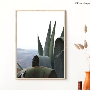 Agave Cactus Fine Art Photography Print (Digital Download)