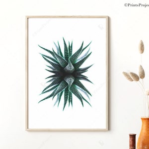 Modern Cactus Art Print: Green Succulent Poster (Digital Download)