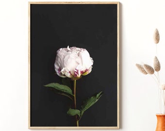Flower Print, Botanical Art, Peony Art, Flower Photography, Flower Poster, Botanical Photo, Flower Wall Art, Floral Print, Digital Download