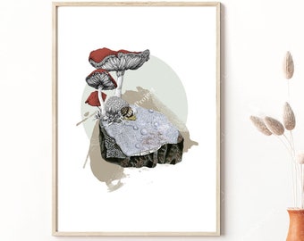 Mushroom Print, Vintage Poster, Botanical Wall Art, Kitchen Decor, Digital Download, Downloadable Art, Mothers Day Gift, Farmhouse Decor