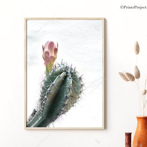 Cactus Flower Photography Print: Teal and Pink Botanical Art (Digital Print)