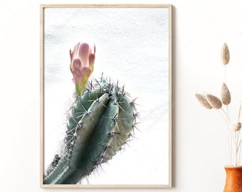 Arte della parete di cactus, stampa botanica di cactus, arte della parete rosa e menta, sopra il letto, fotografia di cactus, stampa digitale, poster succulento, arte vegetale