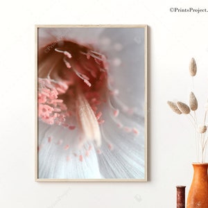 Pink Cactus Flower Print: Macro Photography, Unique Floral Art (Digital Download)