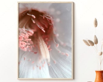 Pink Cactus Flower Print: Macro Photography, Unique Floral Art (Digital Download)