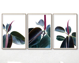 Botanical Print Set, 3 Piece Wall Art, Above Bed Decor, Rubber Plant, Digital Download, Tropical Leaves, Housewarming Gift, Dark Blue, Boho