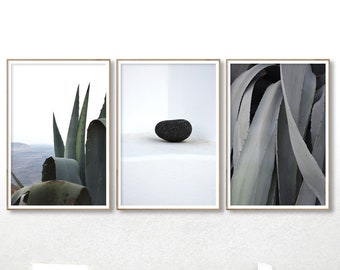 Cactus Botanical Set, 3 Piece Wall Art, Living Room Decor, Digital Download, Minimalist Photography, Agave Print, Printable Poster, Grey