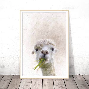 Alpaca Print, Nursery Decor, Llama Print, Farm Animal, Digital Download, Animal Portrait, Nursery Wall Art, Printable Poster, Large Wall Art