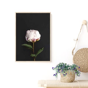 Flower Print, Botanical Art, Peony Art, Flower Photography, Flower Poster, Botanical Photo, Flower Wall Art, Floral Print, Digital Download image 3
