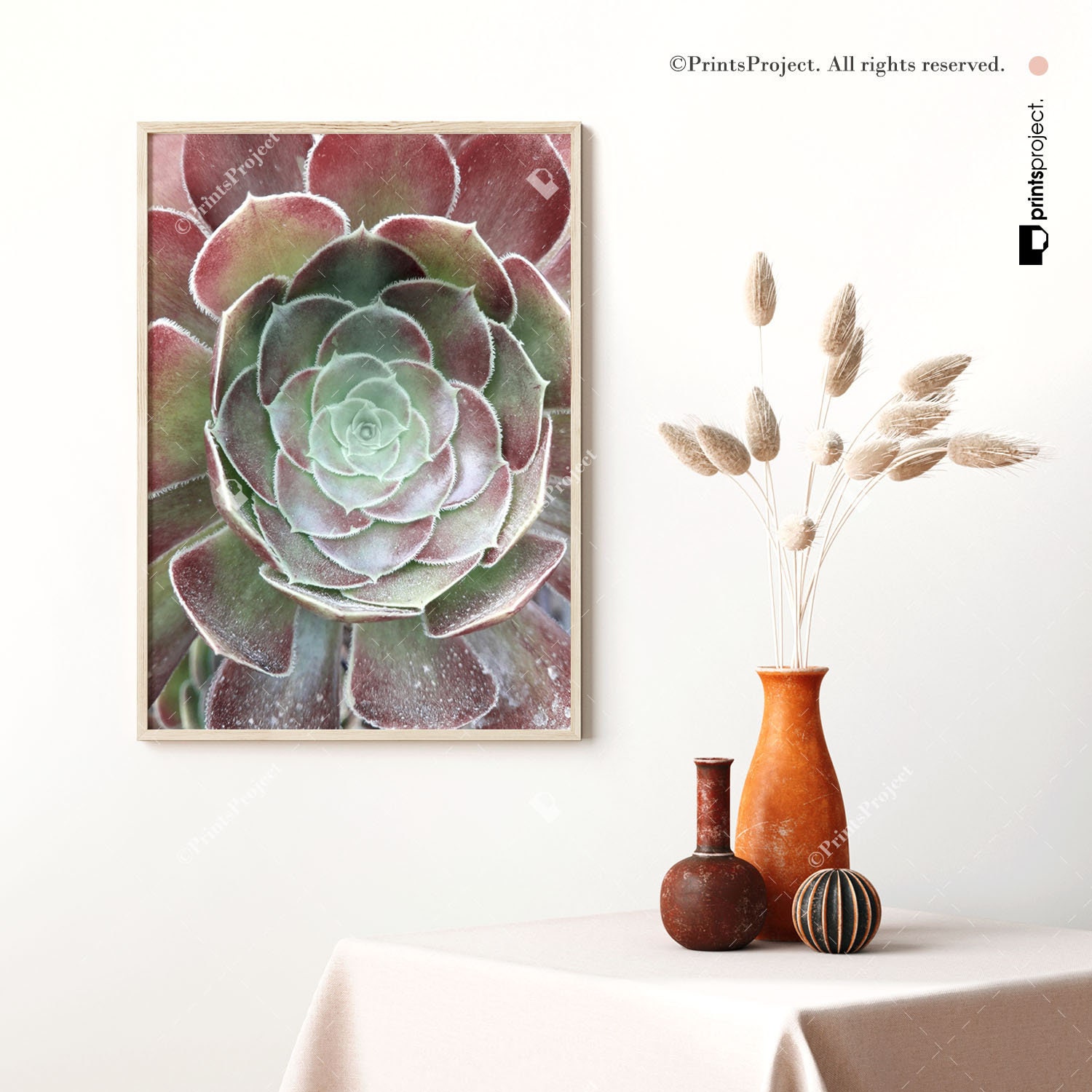 Succulent Wall Art Mint and Pink Print Southwestern Photo Etsy