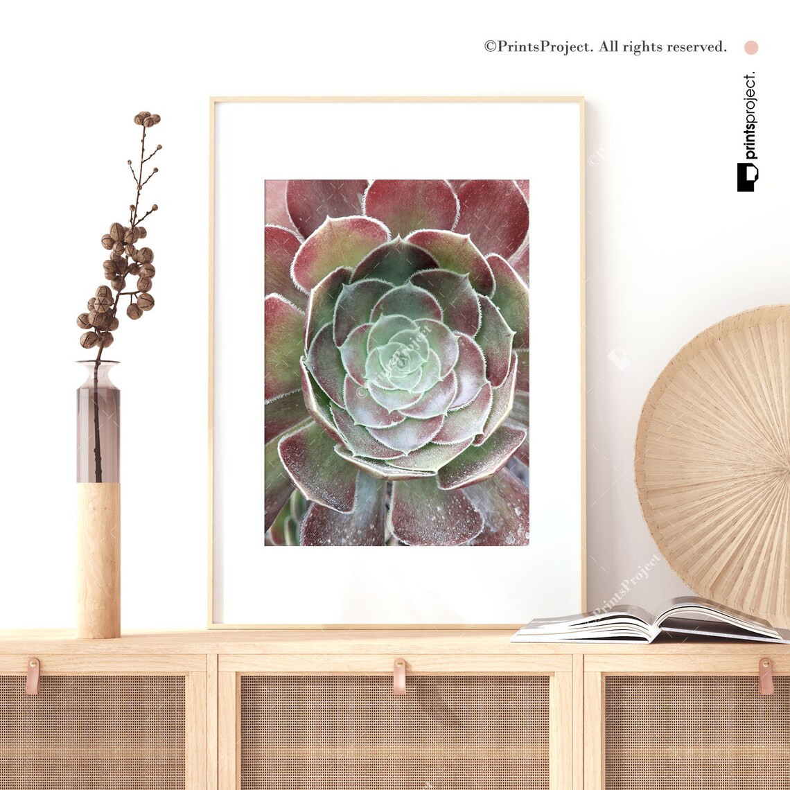 Succulent Wall Art Mint and Pink Print Southwestern Photo Etsy