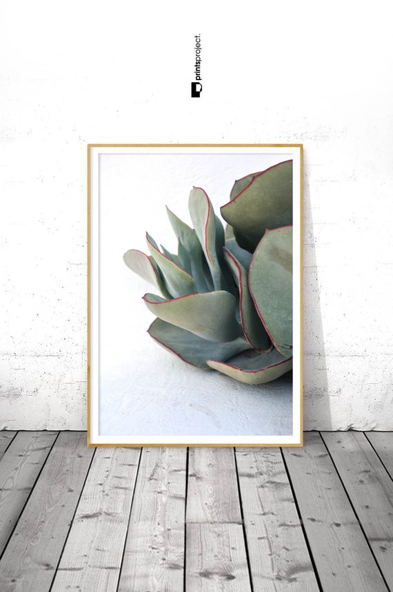 Green Succulent Print For Living Room Decor White And Green Digital Wall Art Download Cactus Decor Bedroom Botanical Poster Gift