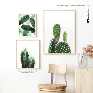 Cactus Print, Succulent Wall Art, Bohemian Decor, Tropical Poster, Affiche Cactus, Downloadable Prints, Modern Minimalist, Botanical Prints image 3