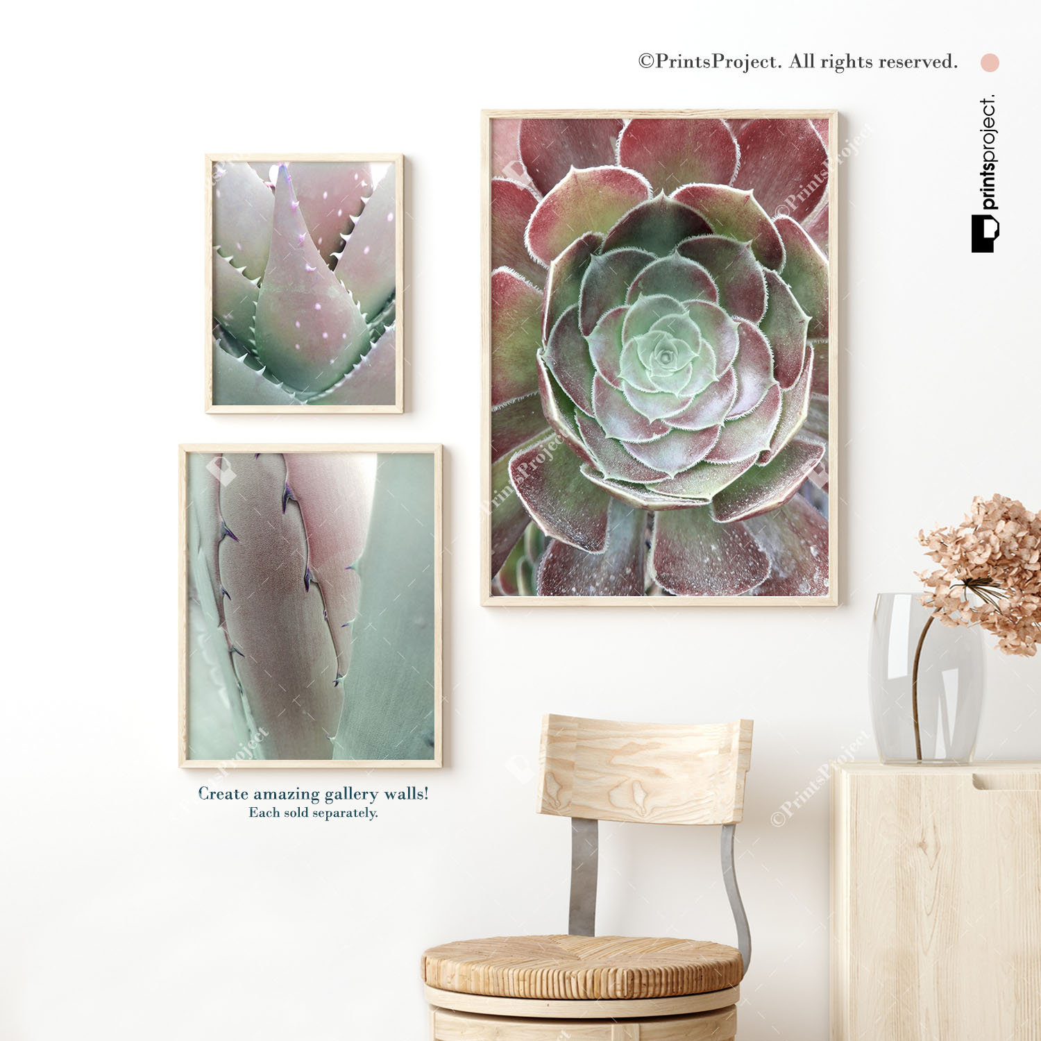 Succulent Wall Art Mint and Pink Print Southwestern Photo Etsy