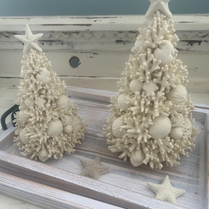 Peut inclure: Deux sculptures blanc cassé en forme de cône rappelant des sapins de Noël, composées de branches texturées évoquant le corail et de divers coquillages, surmontées d'une étoile de mer. Deux petites étoiles de mer sont posées.