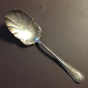 May include: A silver sugar spoon with a scalloped bowl and beaded handle.