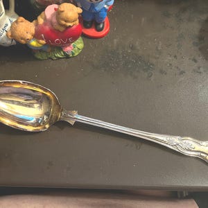 May include: A silver serving spoon with an ornate handle. The spoon has a shiny, reflective surface.