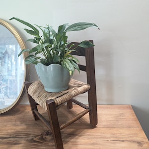 May include: A small, wooden chair with a woven seat holds a light blue scalloped-edge planter filled with a green plant. An oval framed picture with a gold frame sits to the left on a wooden table.