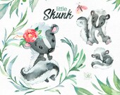 Little Skunk. Watercolor animals clip art, stinker, wild, native, forest, wreath, florals, North America, greeting, babyshower, woodland