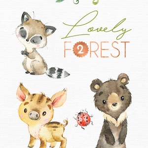 Lovely Forest 2. Little Animals Clip Art, Watercolor, Fox, Wild Pig ...