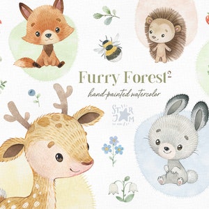 Furry Forest 2. Cute Watercolor Clipart, Fox, Rabbit, Deer, Hedgehog ...