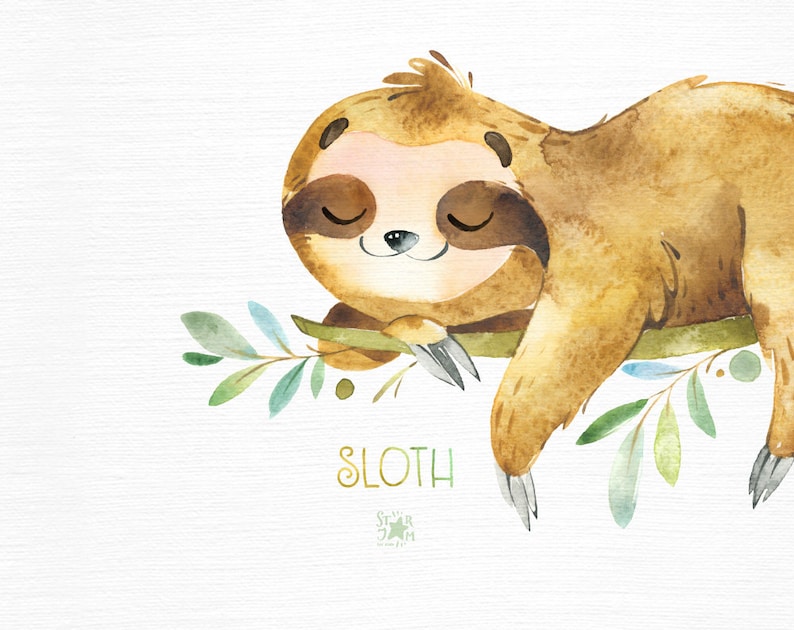 Sloth. Little animals watercolor clipart, sleepy sloths, wreath, florals, babyshower, kids, baby, cute, nursery, branches, starjamforkids image 4