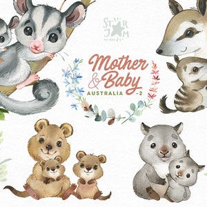 Mother & Baby Australia 2. Clipart animali dell'acquerello, wombat, numbat, aliante dello zucchero, quokka, bambino, festa della mamma, famiglia, ghirlanda, baby-doccia