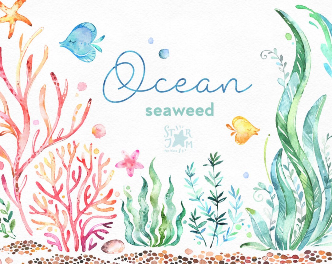 Ocean. Seaweed. Underwater Watercolor Clip Art, Water Plants, Seaware,  Fishes, Starfish, Sea, Nautical, Undersea, Aquarium, Babyshower, Alga - Etsy
