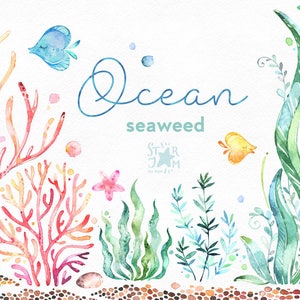 Ocean. Seaweed. Underwater watercolor clip art, water plants, seaware, fishes, starfish, sea, nautical, undersea, aquarium, babyshower, alga