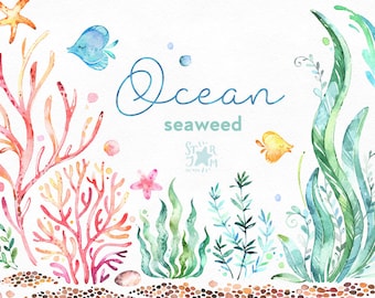 Ocean. Seaweed. Underwater watercolor clip art, water plants, seaware, fishes, starfish, sea, nautical, undersea, aquarium, babyshower, alga