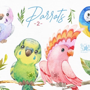 Parrots 2. Watercolor animals clipart, bird, budgie, ara, greeting, jungle, floral, macaw, floral, leaves, birthday, baby shower, party