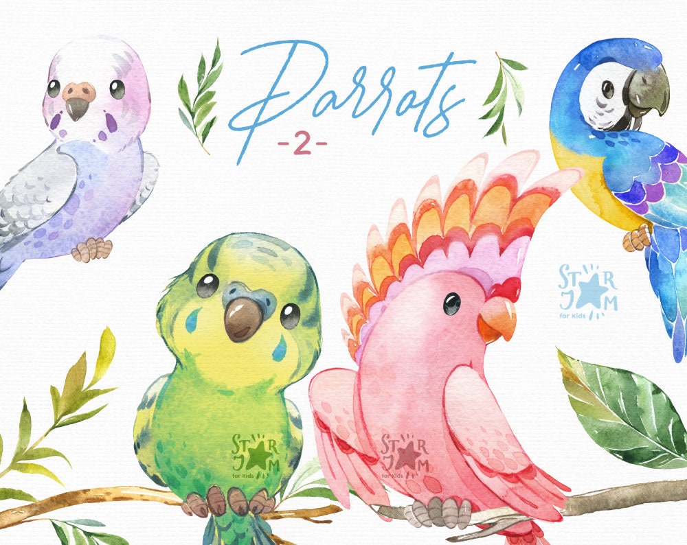 Cute Parakeet Clipart