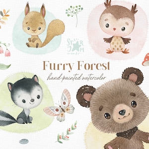 Floresta Peluda. Clipart fofo em aquarela, esquilo, urso, coruja, guaxinim, borboleta, chá de bebê da floresta, png, animais para impressão, festa de aniversário