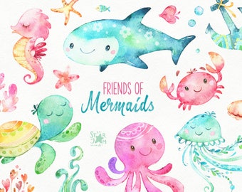 Friends Of Mermaids. Watercolor clip art, fish, jellyfish, turtle, sea, octopus, crab, nautical, underwater, ocean, pink, shells, babyshower