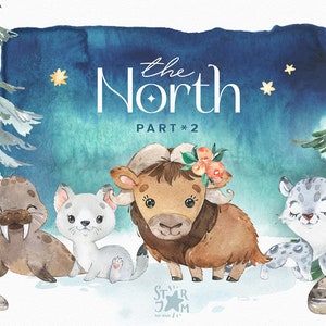 Der Norden 2. Aquarell Tier Clipart, Polarfuchs, Walross, Schneeleopard, Polar, Geburtstag, Schnee, Gruß, Lichter, Baby-Dusche, Weihnachten