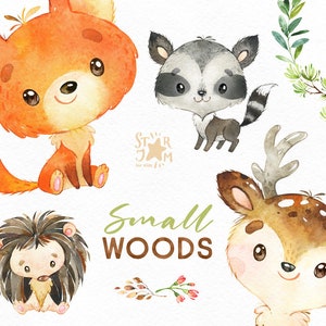 Small Woods. Little animals watercolor clip art, fox, deer, raccoon, hedgehog, florals, wreaths, baby-shower, woodland, wild, forest, baby