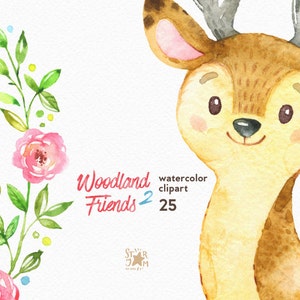 Woodland Friends 2. Watercolor animals clipart, forest, deer, raccoon, owl, greeting, invite, kids, flowers, floral, wreath, diy, shower image 3