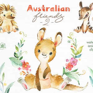 Australische Freunde - 2. Kleine Tiere Clipart, Aquarell, Känguru, Numbat, Walpurti, Echidna, Emu, Blumen, Kranz, Babyparty, Fahne