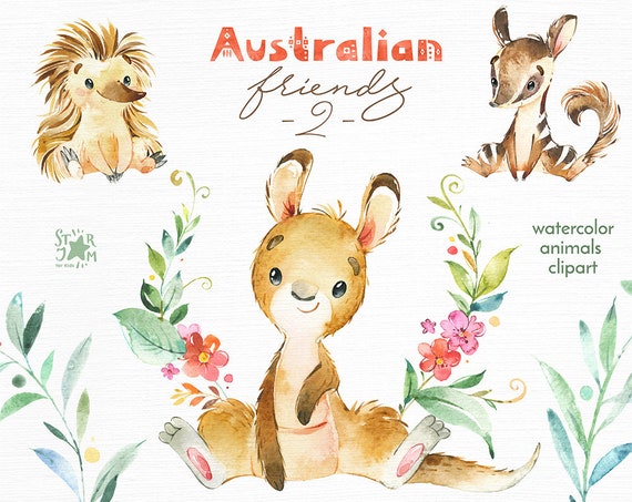 Download Australian Friends 2. Little animals clipart watercolor | Etsy