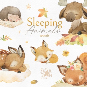 Slapende Dieren Bos. Aquarel clipart, bosbeestjes, vos, eekhoorn, herten, elanden, kussens, babyslaap, wolken, droom, kinderkamer