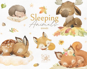 Sleeping Animals Woods. Watercolor clipart, woodland critters, fox, squirrel, deer, moose, pillows, baby sleeping, clouds, dream, nursery