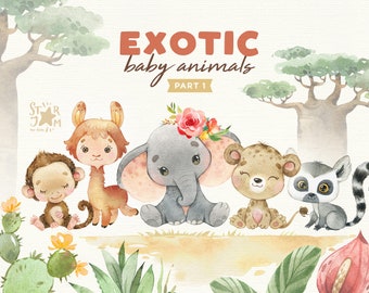 Bébés animaux exotiques 1. Clipart animaux aquarelle, éléphant, lama, lionne, singe, lémurien, fleur, salutation, safari, jungle, floral, Afrique