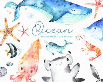 Ocean. Underwater creatures. Watercolor clip art, sharks, whale, stingray, narwhal, starfish, sea, nautical, undersea, marine, babyshower