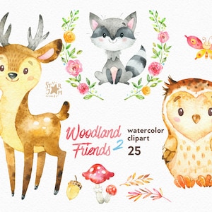 Woodland Friends 2. Watercolor animals clipart, forest, deer, raccoon, owl, greeting, invite, kids, flowers, floral, wreath, diy, shower image 1