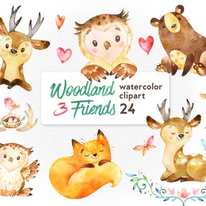 Amici del bosco 3. Acquerello animali clipart, volpe, foresta, cervo, orso, gufo, uccello, farfalla, saluto, invitare, fiore, ghirlanda, fai da te, striscione