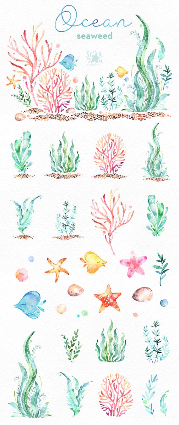 Plants Under The Sea Drawing