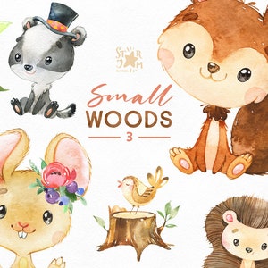 Petits bois 3. Petits animaux aquarelle clipart, écureuil, souris, hérisson, blaireau, oiseau, fleurs, couronne, baby-shower, bois, forêt