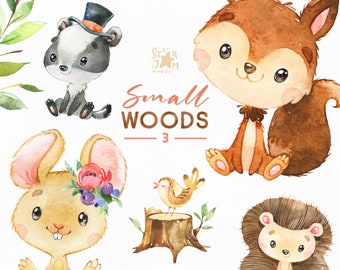 Small Woods 3. Little animals watercolor clip art, squirrel, mouse, hedgehog, badger, bird, florals, wreath, baby-shower, woodland, forest